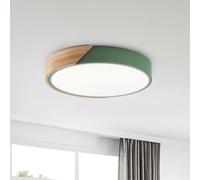 HTsilphelene Plafoniera Led Soffitto in Legno,plafoniere Con Paralume in Acrilico,Dimmerabile 3000K-6000K Plafoniera Per Soggiorno,Camera Da Letto,Cucina,Soggiorno,Corridoio (Green,40CM)
