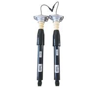 HTZLCO 1x Ammortizzatore posteriore compatibile for Audi A6 C7 4G RS6 A7 4G RS7 2012-2018 4G0616031L 4G0616031J 4G0616031AD 4G0616031AA 4G0616031AC Ricambi originali(REAR LEFT)