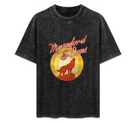 Huachenyu Mumford And Sons Black T-Shirt Mens Tee Unisex Tops S