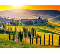 HUADADA Puzzle da 1000 pezzi per adulti e bambini, gioco impossibile, idea regalo, puzzle intelligente e colorato, tema Toscana