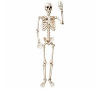 HuadaXtai Scheletro di Halloween Realistico Scheletro Umano di Plastica Regolabile Decorazione per Retreat Room, a ma Horror, Giardino
