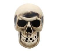 HuadaXtai Teschio Antico Decorativo Teschio Cranio Testa Modello Plastica con Effetto Invecchiato E Ombre Attorno agli Occhi Trama Fessurata Evidenti Adatto per