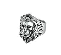 HUANGBONIG 2PC- titanio prepotente leone testa anello accessori uomo, 9#, Metallo