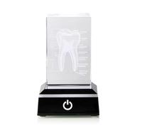 HUANGING Denti di cristallo Modello anatomico 3D inciso con luce LED Base Fermacarte in vetro Decorazione domestica Anatomico Denti Figurine