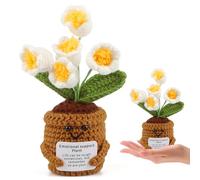 Huanmin Pocket Hug piccole fiori di mughetto regali - Patata positiva tedesco sostituto, dono che infonde coraggio, Pocket Hug portafortuna maglia mughetto per amici colleghi famiglia