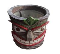 Huayeex Vaso Fioritura Faccia, Testa Fioriera Faccia in Resina, Contenitore Artistico in Resina per Bonsai Accessorio per Arredamento Casa adatto per Uso Interno ed Esterno per Giardino Terrazzo e
