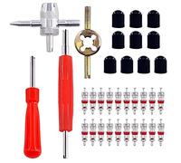 HUAZIZ 34 Pezzi Set Chiave Valvola per Pneumatici Auto Riparazione Rimozione Valvola Nucleo Ricambio Smonta Valvola Strumento di Rimozione Nucleo Automobile Moto Bicicletta