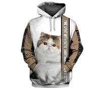 HuazomeeHZM Il Tempo trascorso con Il Bengala Non è mai sprecato Felpa con Cappuccio Stampata in 3D Unisex Pullover Felpe con Cappuccio con Animali Divertenti Abbigliamento Casual Streetwear