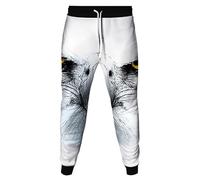 HuazomeeHZM Pappagallo/Aquila/Fenice/Pavone/Gufo 3D Stampa Donne Uomini Pantaloni della Tuta Jogger Pantaloni Cordino di Serrazione Tuta Basso