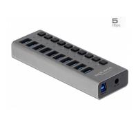 DELOCK 63670 - Hub SuperSpeed USB esterno con 10 porte + Switch