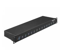 Hub Delock 13 porte 5 Gbps USB 3.2 Gen 1 modello 64039 montaggio rack metallico