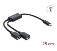 Hub Delock 2 porte 5 Gbit/s USB-C modello 64373 compatto e veloce