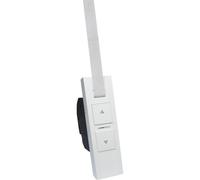 Hub domotico HOMEPILOT RolloTron pure smart radio compatibile DuoFern