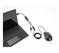 Hub USB Delock 2 Porte USB-A 5Gbps Cavo 0,25m Compatto