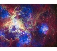Hubble Telescope - A New View of The Tarantula Nebula - Extra Large - Semi Gloss Print