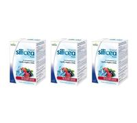 Hubner Original Silicea Plus Frutti Di Bosco 15 Bustine Da 15 Ml 3x15x