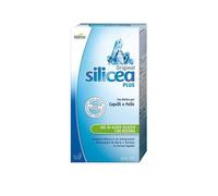Ki Group Hubner Original Silicea Plus 500 Ml