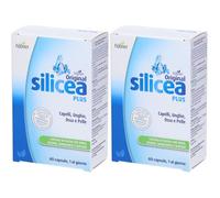 Hubner Original Silicea Set da 2 2x44 g Capsule