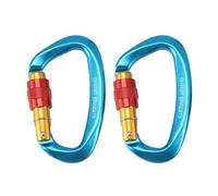 HuddleGlow 2 Pezzi 25KN Moschettone A Forma di D Gancio in Lega di Alluminio Attrezzatura per Alpinismo per Escursionismo, Ganci per A