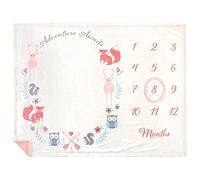 Hudson Baby Unisex Baby Plush Holiday and Milestone Blanket, Girl Adventure Awaits, One Size