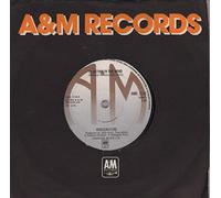 HUDSON FORD - FLOATING IN THE WIND 7 INCH (7" VINYL SINGLE) UK A&M 1974