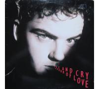 Hue And Cry* - Labour Of Love