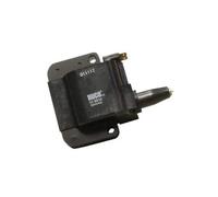 HÜCO 2508810 - Bobina di Accensione Auto