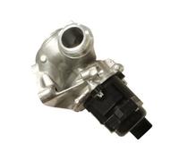 Hueco AGR-Valvola Per Citroen Ford Peugeot