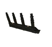 Hueco Bobina Accensione per Citroen C2 C3 C4 Peugeot 1007 206 207/207 + 307