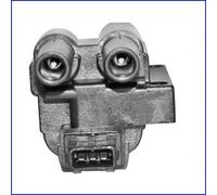 Hueco Bobina Accensione per Renault Clio Kangoo Megane