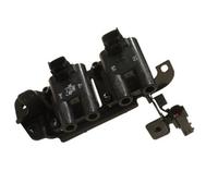 Hueco Bobina di Accensione per Hyundai