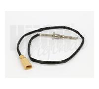 Hueco Sensore-Temperatura per VW