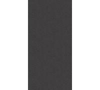 HÜPPE EasyStyle panneau mural 150x255cm, ES010242V, ES010242V, Colorazione: Autunno antracite