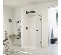 HÜPPE SolvaPro anta basculante, con lato fisso, per nicchia, per anta fissa laterale, 7T0403123322, 7T0403 SolvaPro [Box Doccia > Porte a battente]