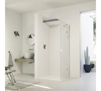 HÜPPE SolvaPro anta basculante, con lato fisso, per nicchia, per anta fissa laterale, 7T0404092322, 7T0404 SolvaPro [Box Doccia > Porte a battente]