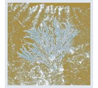 Huerco S. For Those of You Who Have Never (Vinyl LP)