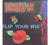 Hüsker Dü Flip Your Wig (CD) Album