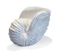 Huey House Nautilus - Scultura a forma di conchiglia, replica a tema spiaggia, decorazione per la casa, rustica in resina bianca, 25,4 x 15,2 x 20,3 cm, decorazione per mensole, in confezione regalo