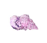 HUFFA Crystal Crafts Small Conch Marine Animal Pen Holder - Elegant Desktop Office Decor for Living Room & Entrance(Pink)