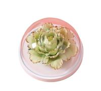 HUFFA Diffusore di Aromi di Fiori di Peonia in Ceramica for L'Ufficio della | Diffusore in ceramica peonia, nebbia silenziosa(green)