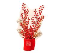 HUFFA Secchiello della benedizione for la casa Felice - Set di Frutta della Fortuna for la Decorazione del Soggiorno(Color29)