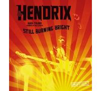 Hugh Fielder Jimi Hendrix (Copertina rigida) Pop, Rock & Entertainment