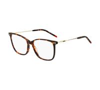 Hugo Boss Bicolor Acetate Glasses (Frames)