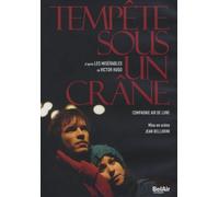 Hugo: Tempête Sous Un Crane