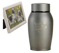 huiba Pet Urn Metal Piccole Ceneri - Cremazione Souvenir Acciaio Inox - Metallo Durevole che condivide l'urna funeraria Personale per Animali domestici o Ceneri