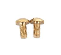 HUIOP Set di Kit di Manutenzione per Riparazione Sassofono Contralto con 18 Rulli, 24 Molle, 26 Viti per Coda di Topo, 4 Ance e Viti, per gli Amanti degli Strumenti a Fiato