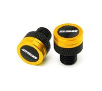 HUISI Misura for Husqvarna Svartpilen 401 250 701 Vitpilen 250 Norden 901 2018-2025 Moto CNC Specchi Tappo Foro Viti Tappi Filo bullone(Gold 250)