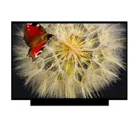 HUIYXZZUE Compatibile con Boe, NV140FHM-N3K, Pannello Schermo LCD | Matrice LED sottile da 14", FHD IPS 1920*1080p, 30 PIN EDP, pannello schermo LCD for laptop