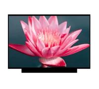 HUIYXZZUE Compatibile con ThinPad, X390 X395 20Q0 20Q1 20SC, Display LCD | Compatibile con Lenovo, 20SD 20NL 20NM, 13,3 pollici FHD 1080P LED non touch a 30 pin, schermo LCD