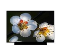 HUIYXZZUE Schermo for Laptop, Compatibile con Boe, NV140FHM-N4C | Matrice LED sottile da 14", NV140FHM-N4C, FHD IPS 1920*1080p, 30 PIN EDP, pannello schermo LCD for laptop